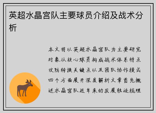 英超水晶宫队主要球员介绍及战术分析